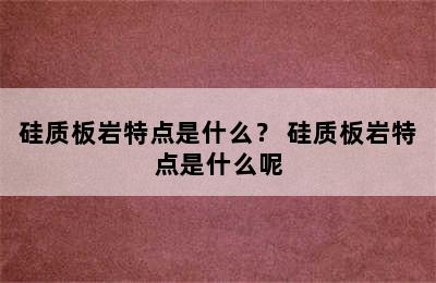 硅质板岩特点是什么？ 硅质板岩特点是什么呢